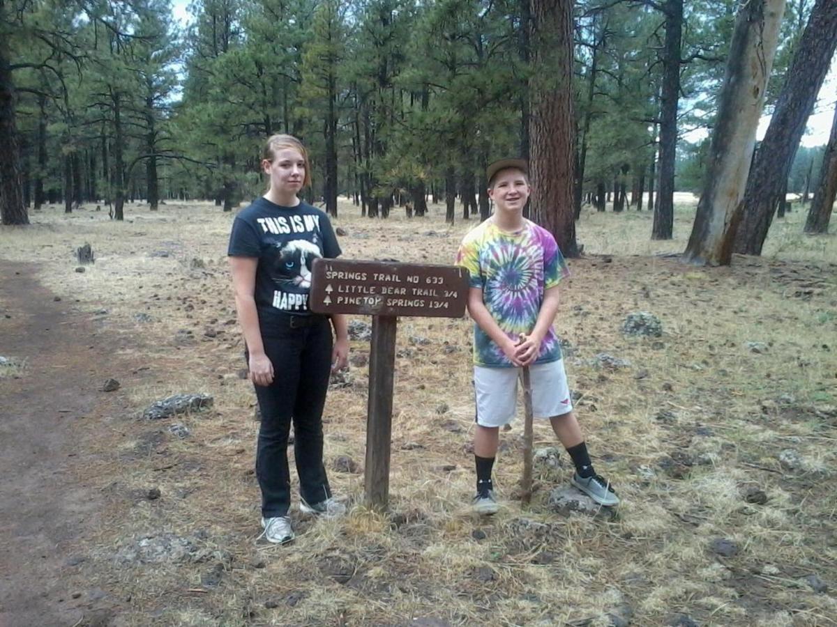 Adair Springs Cabin Pinetop-Lakeside Esterno foto