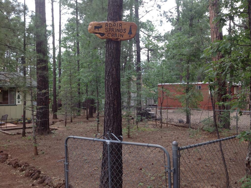 Adair Springs Cabin Pinetop-Lakeside Esterno foto