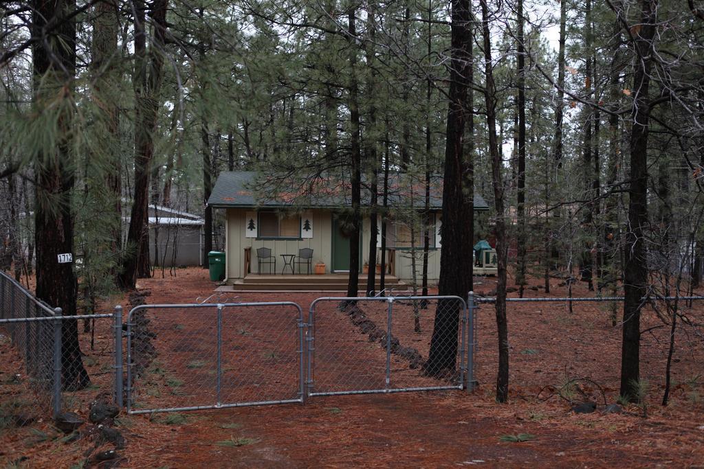 Adair Springs Cabin Pinetop-Lakeside Esterno foto